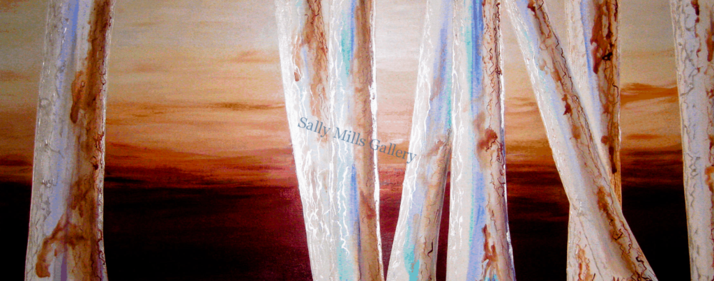 Gum Trees at Sunset