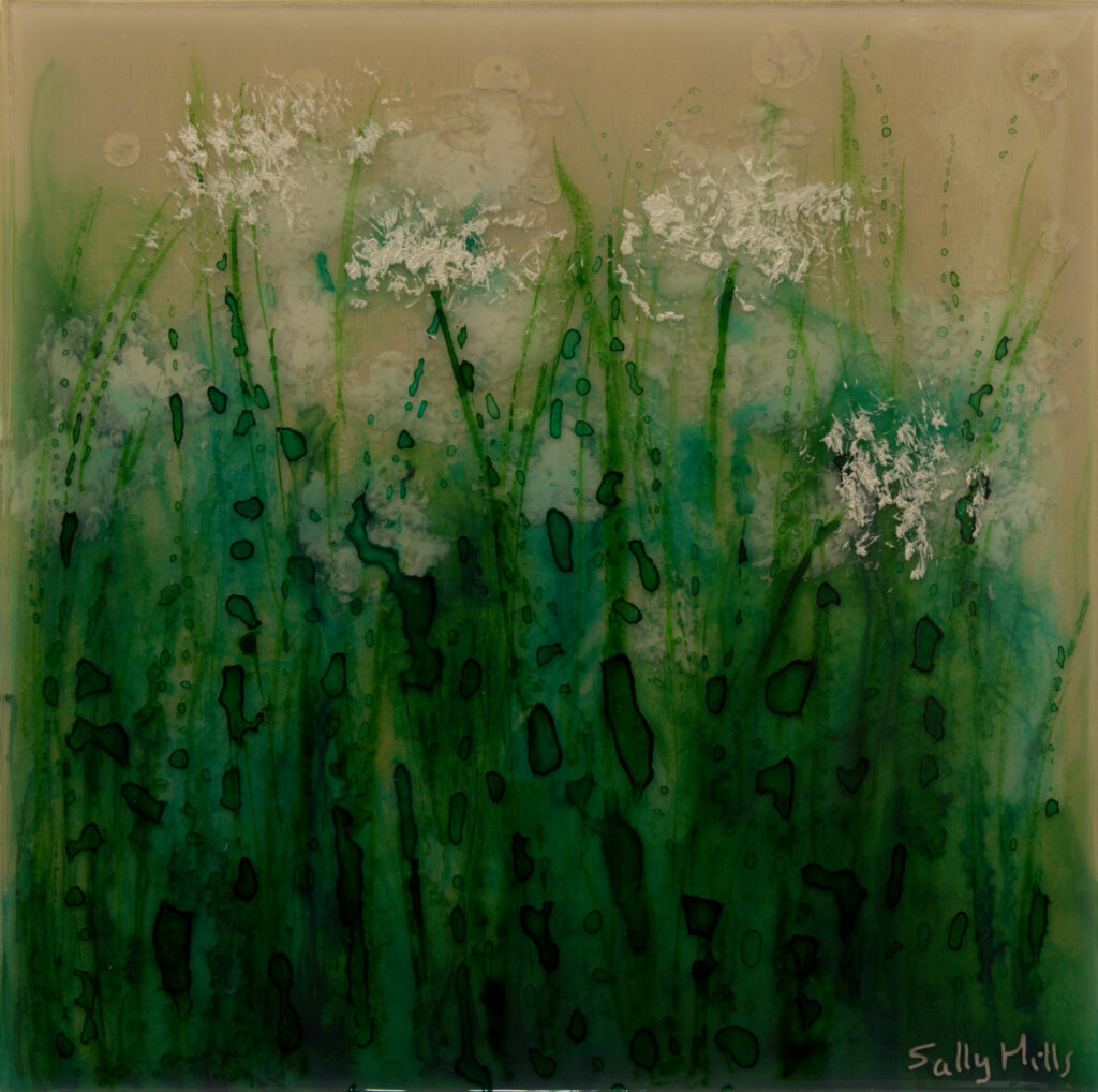 Cow Parsley