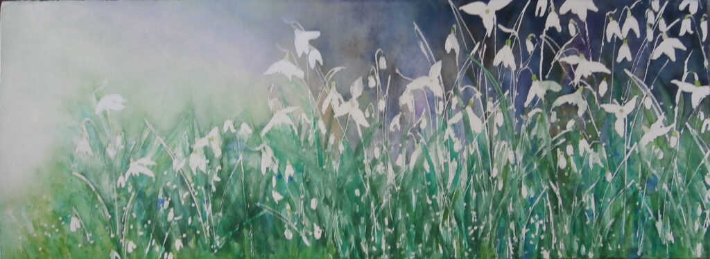 Snowdrops at St. Elli