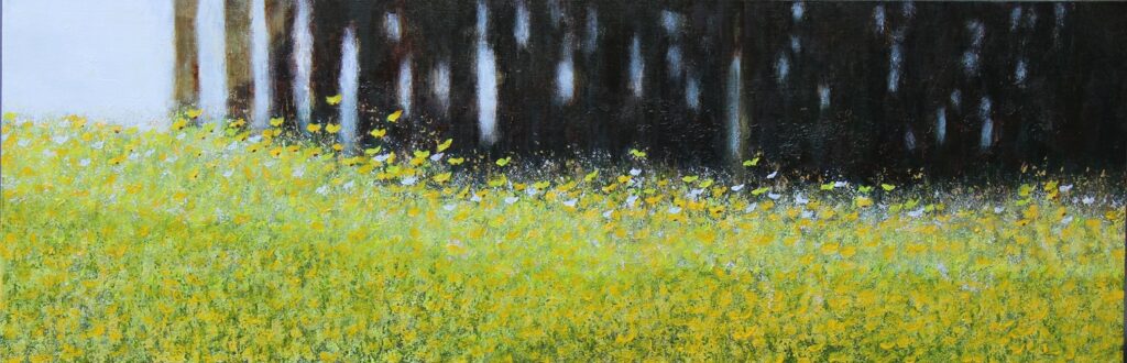 Finding Sunshine