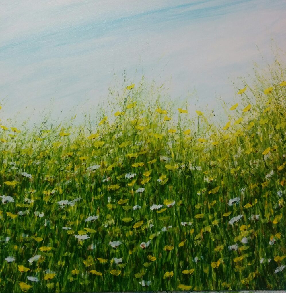 Where Buttercups dance