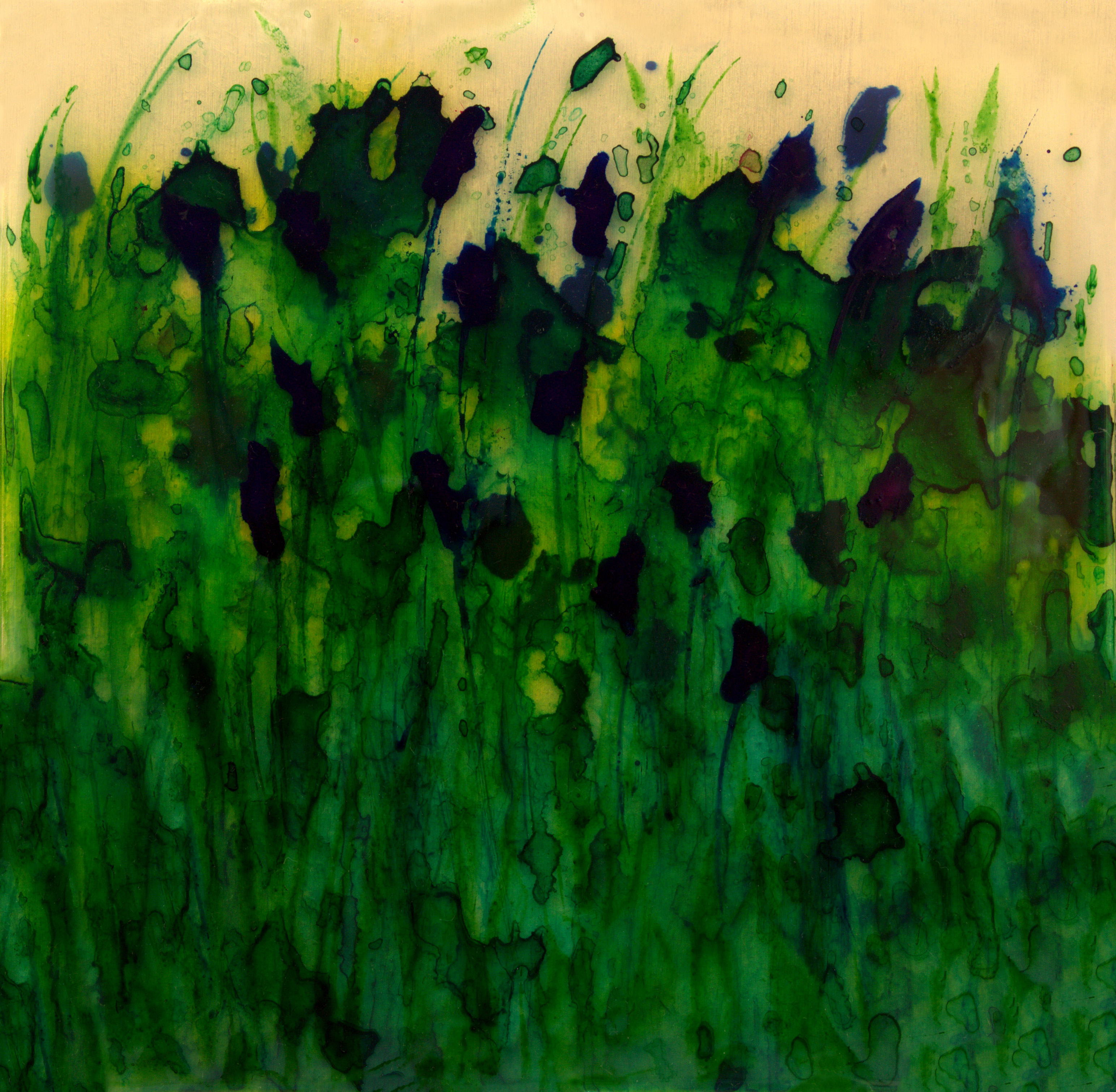Along the river bank
