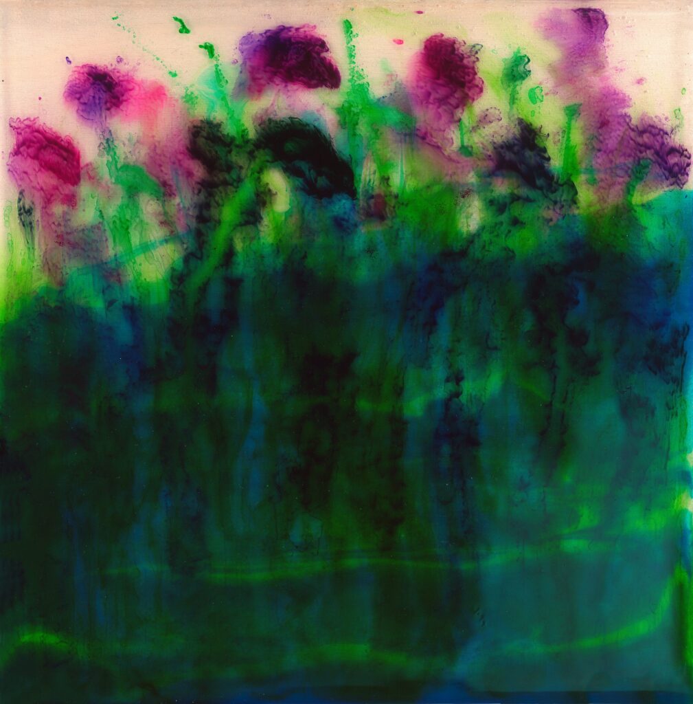 Purply flowers